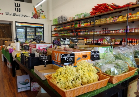 Asian Grocery market for sale in San Francisco Ingleside