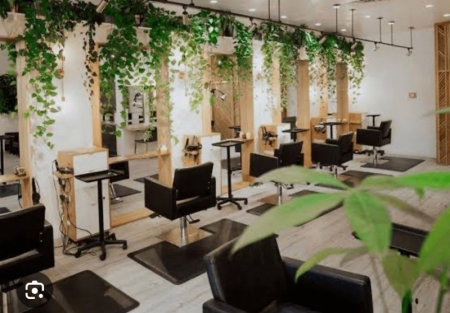 Beauty salon for sale in Fremont near Warm Spring blvd